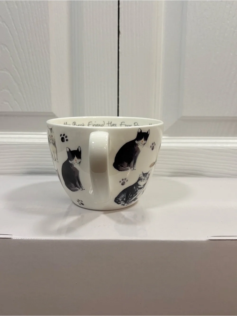 Cat Lover 16 oz Bone China Novelty Mug My Best Friend Coffee Tea Cup